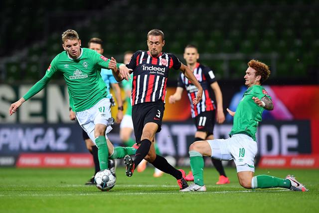 三亚亚沙会开幕在即 久久不见久久见！